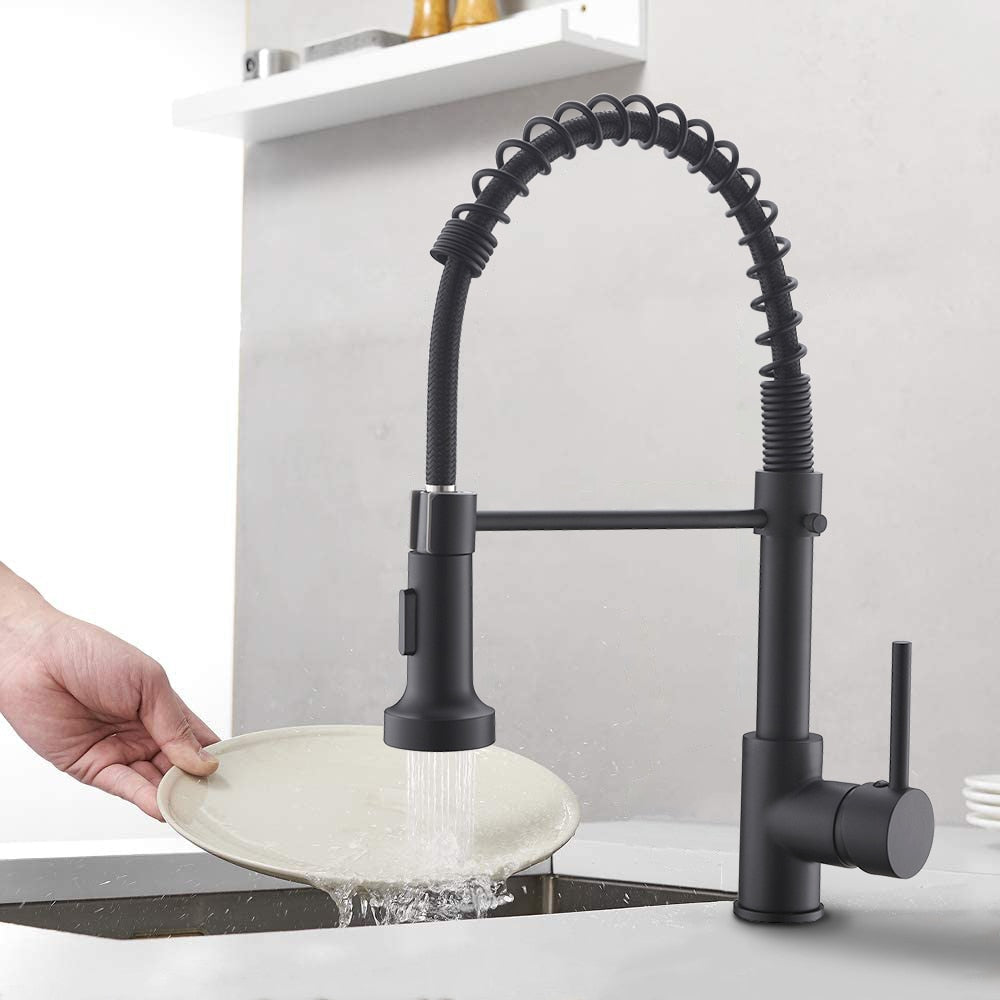 QZ1 Single-Handle Pull-Down Sprayer Kitchen Faucet in Matte Black