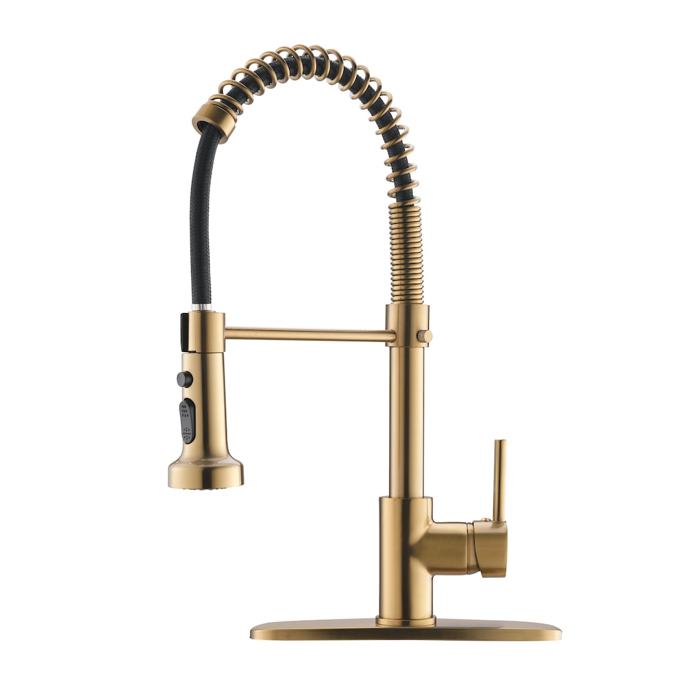 QZ2 Single-Handle Pull-Down Sprayer Kitchen Faucet in Brushed Gold