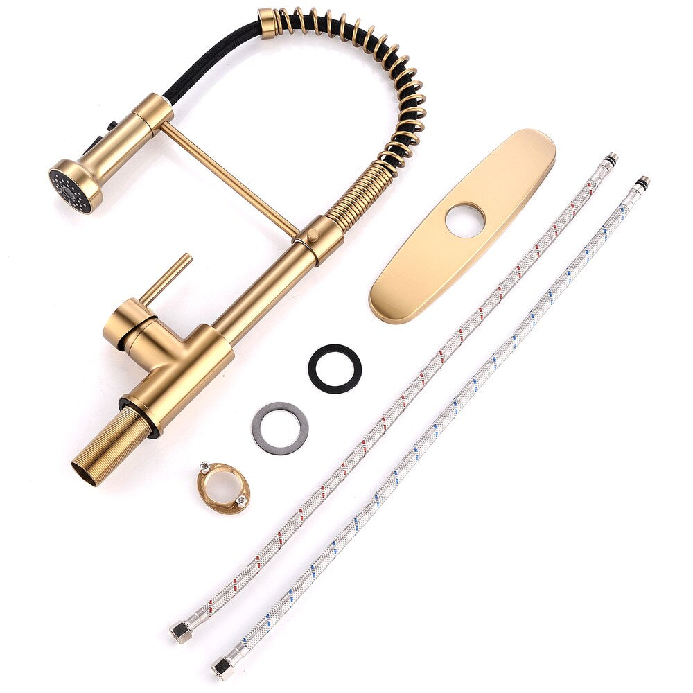 QZ2 Single-Handle Pull-Down Sprayer Kitchen Faucet in Brushed Gold