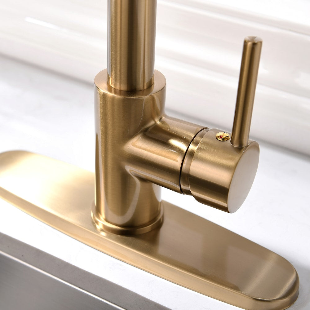 QZ2 Single-Handle Pull-Down Sprayer Kitchen Faucet in Brushed Gold