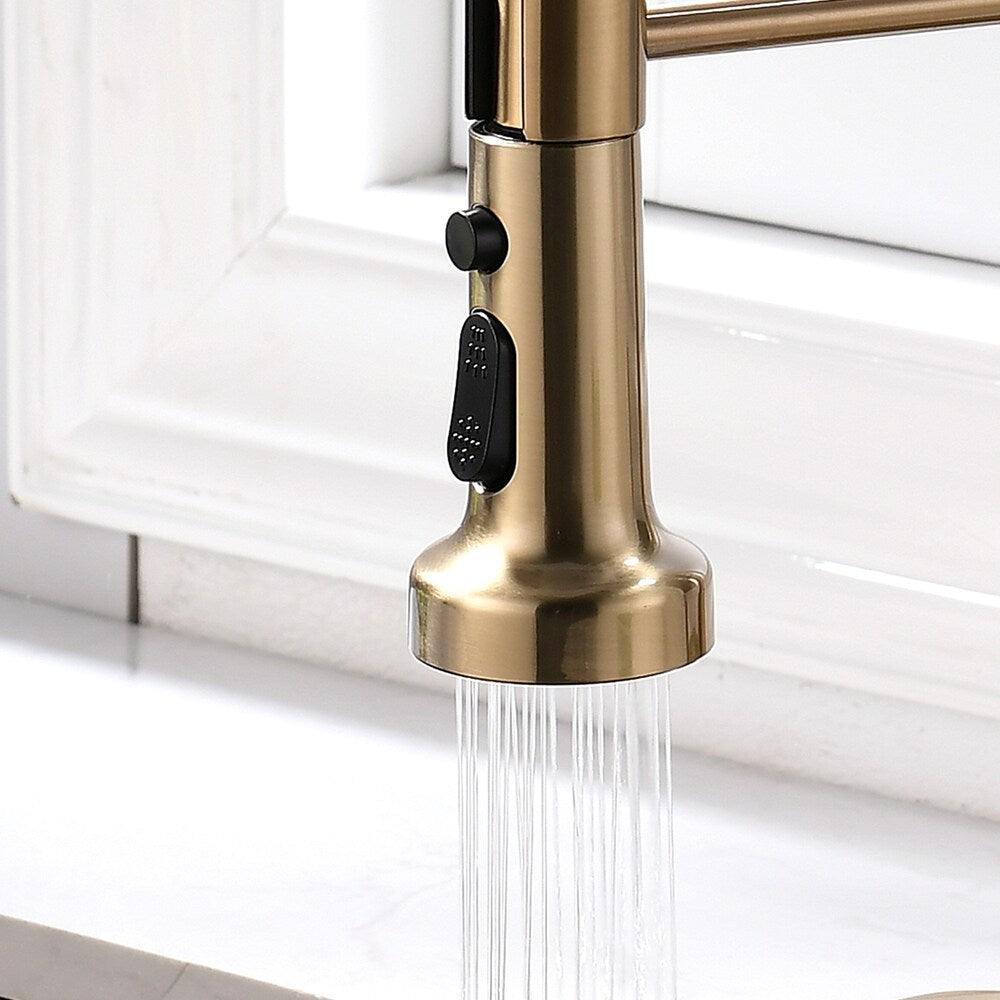 QZ2 Single-Handle Pull-Down Sprayer Kitchen Faucet in Brushed Gold