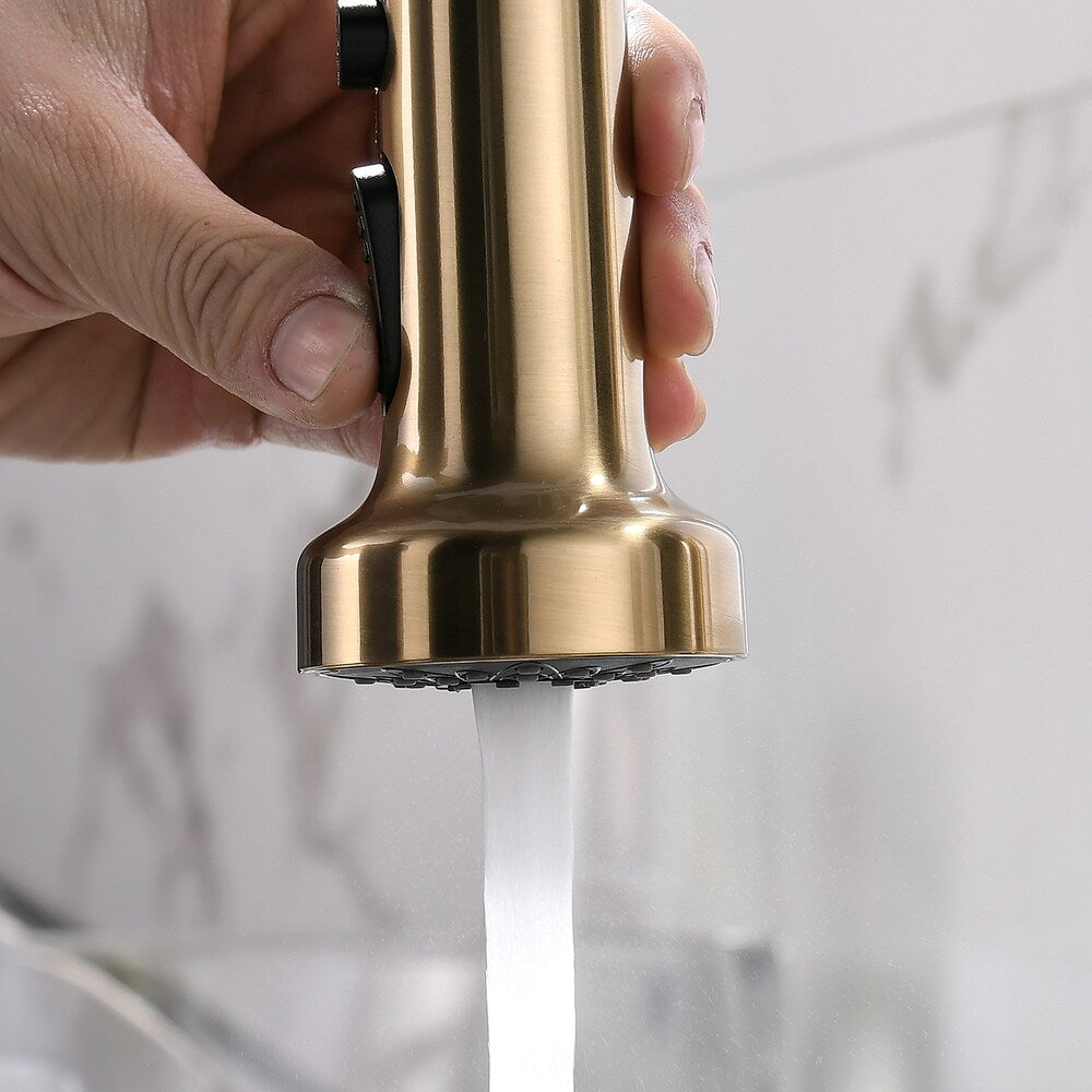 QZ2 Single-Handle Pull-Down Sprayer Kitchen Faucet in Brushed Gold