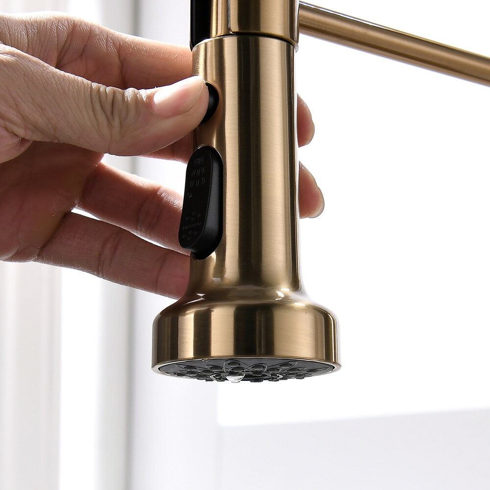 QZ2 Single-Handle Pull-Down Sprayer Kitchen Faucet in Brushed Gold