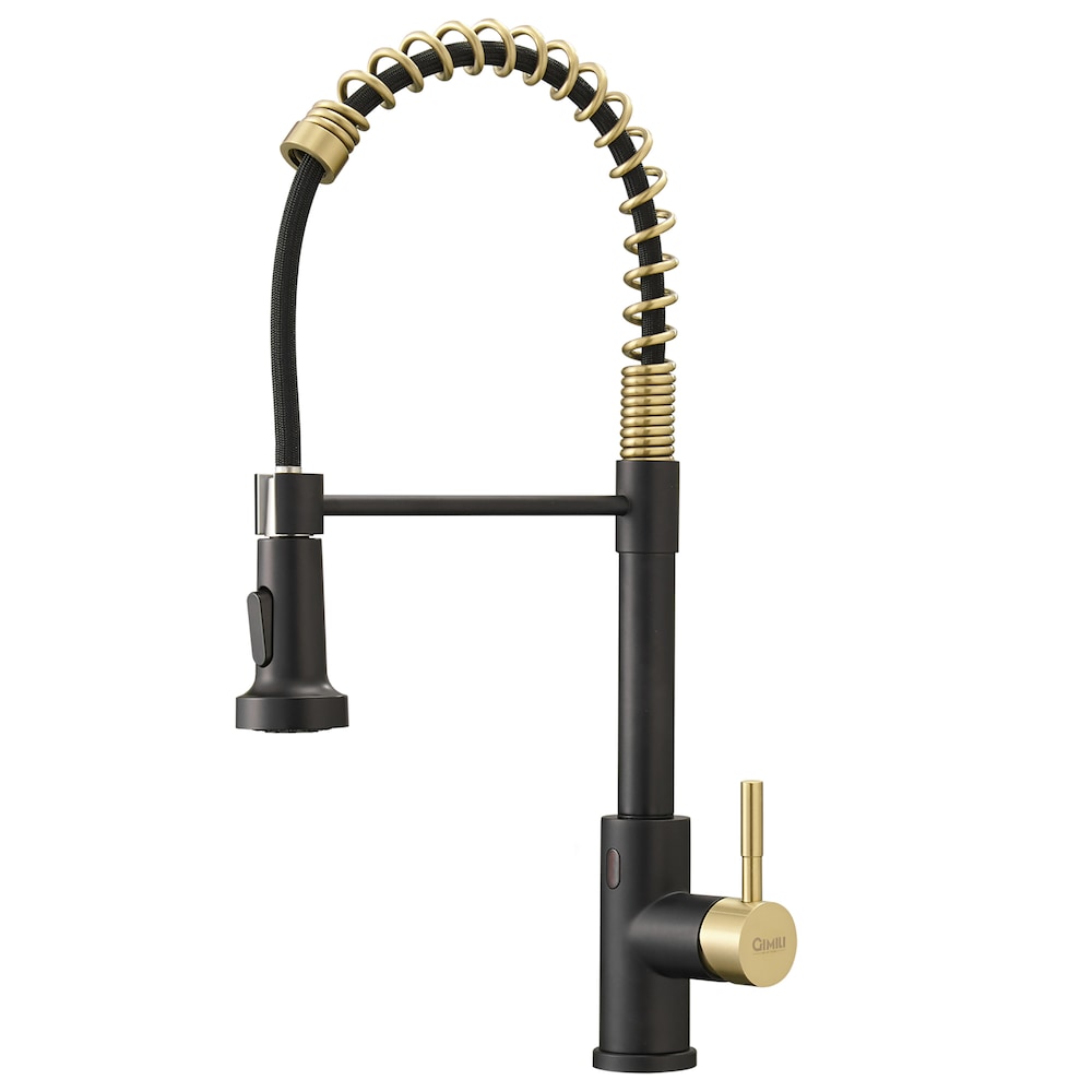 QZ8 Single-Handle Touchless Kitchen Faucet in Matte Black