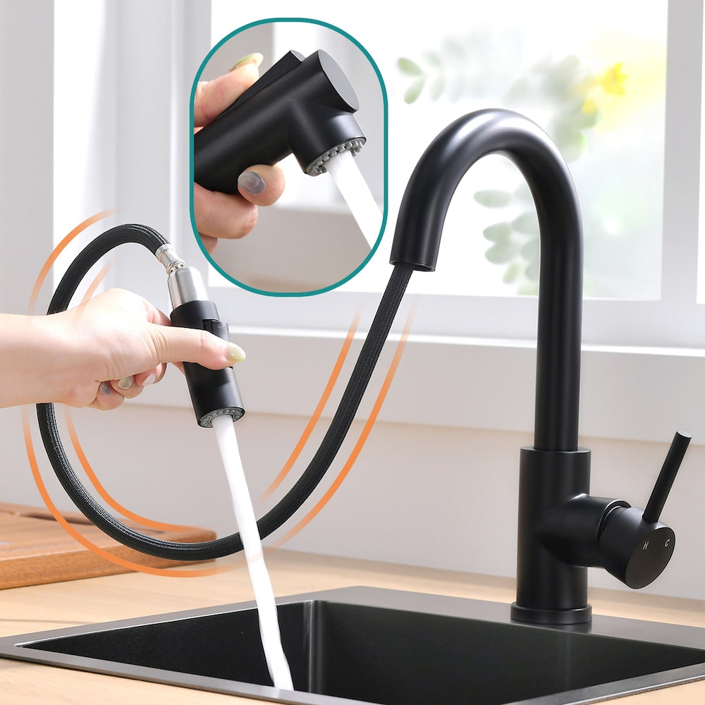 QZ9 Single-Handle Pull-Down Sprayer Kitchen Faucet in Matte Black