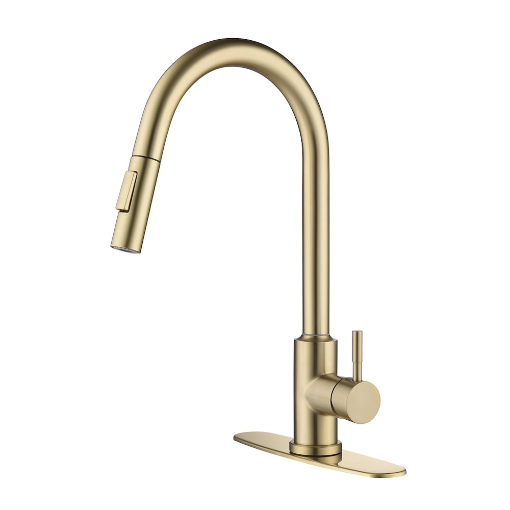 Pegasus Single-Handle Pull-Down Sprayer Kitchen Faucet with Deckplate in Brushed Gold