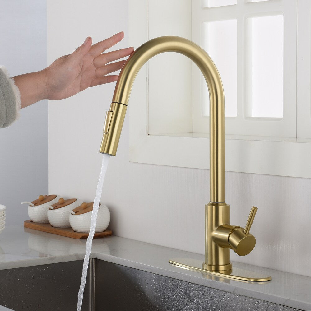 Pegasus Single-Handle Pull-Down Sprayer Kitchen Faucet with Deckplate in Brushed Gold