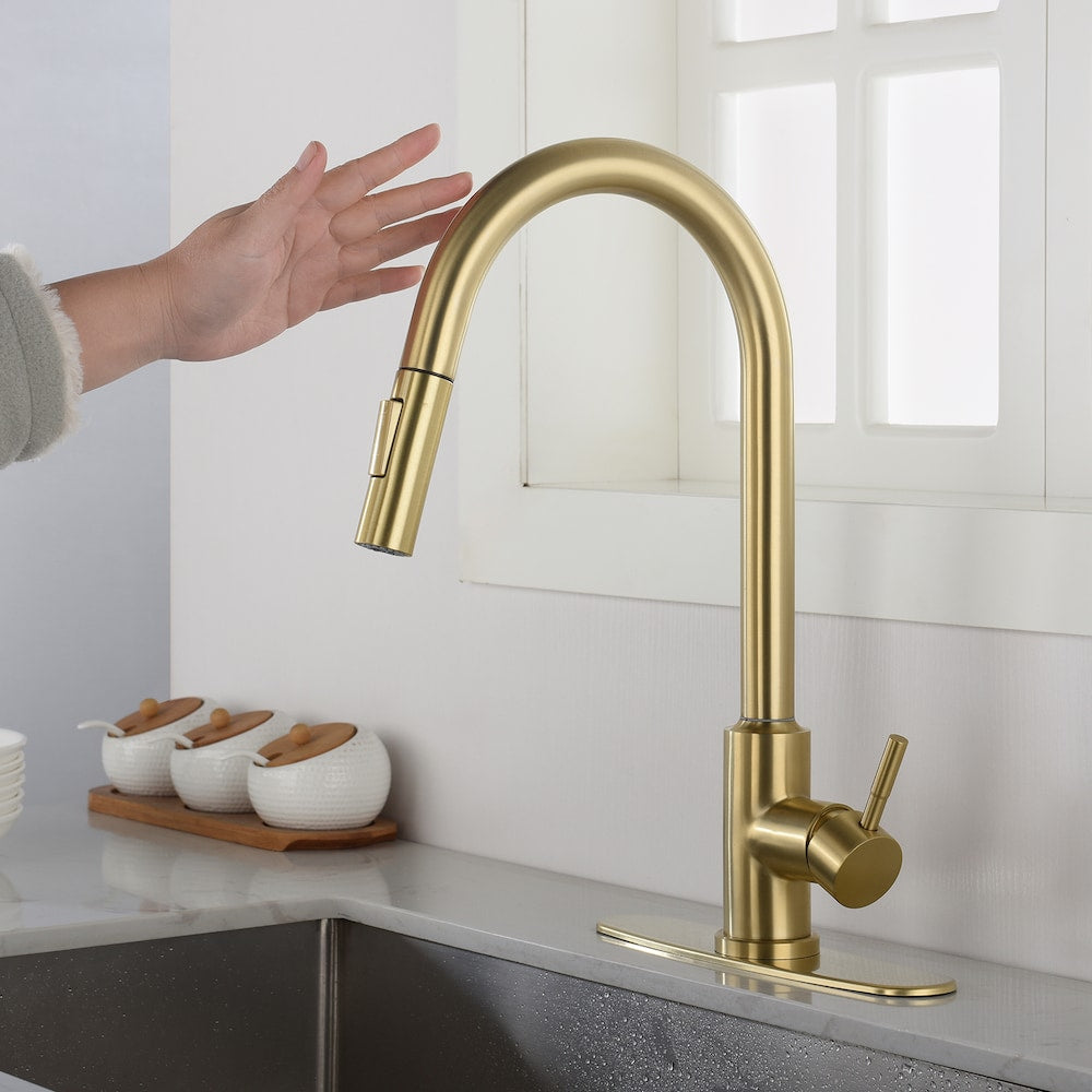 Pegasus Single-Handle Pull-Down Sprayer Kitchen Faucet with Deckplate in Brushed Gold
