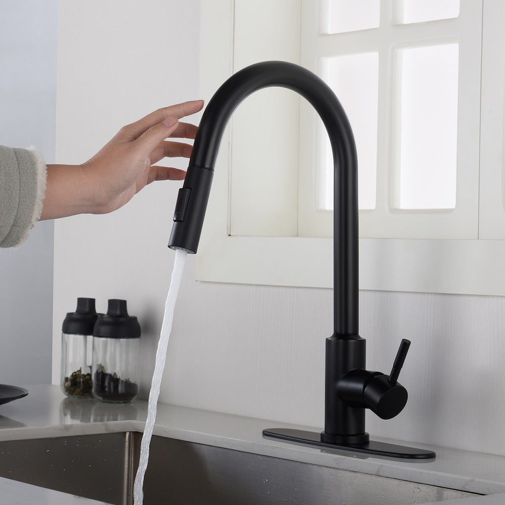 Pegasus Single-Handle Pull-Down Sprayer Kitchen Faucet with Deckplate in Matte Black