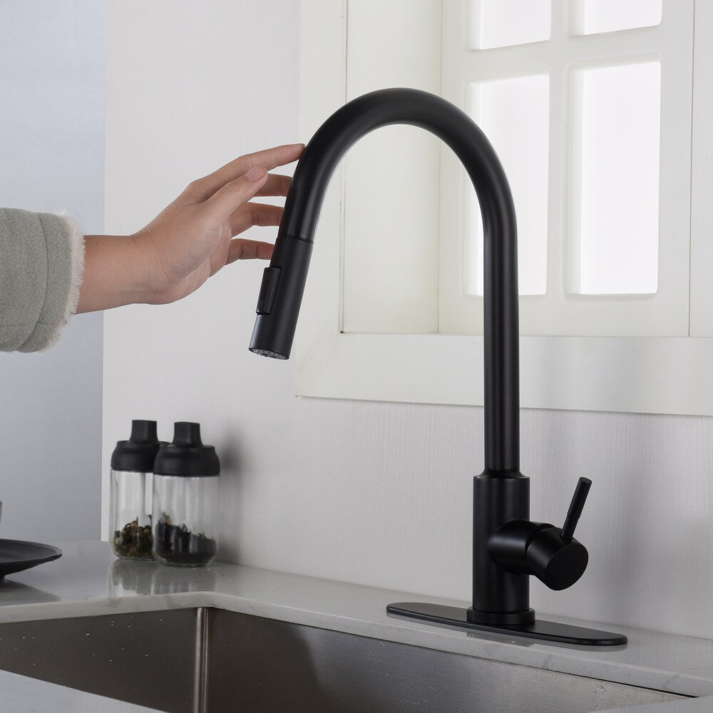 Pegasus Single-Handle Pull-Down Sprayer Kitchen Faucet with Deckplate in Matte Black