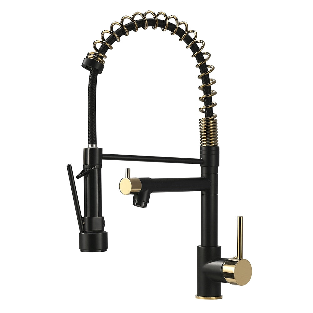Luxe Double-Handle Pull-Down Sprayer Kitchen Faucet in Black and Gold