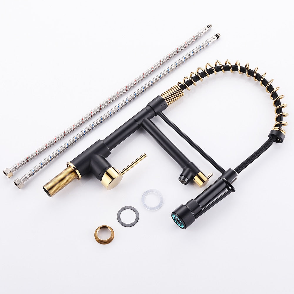 Luxe Double-Handle Pull-Down Sprayer Kitchen Faucet in Black and Gold