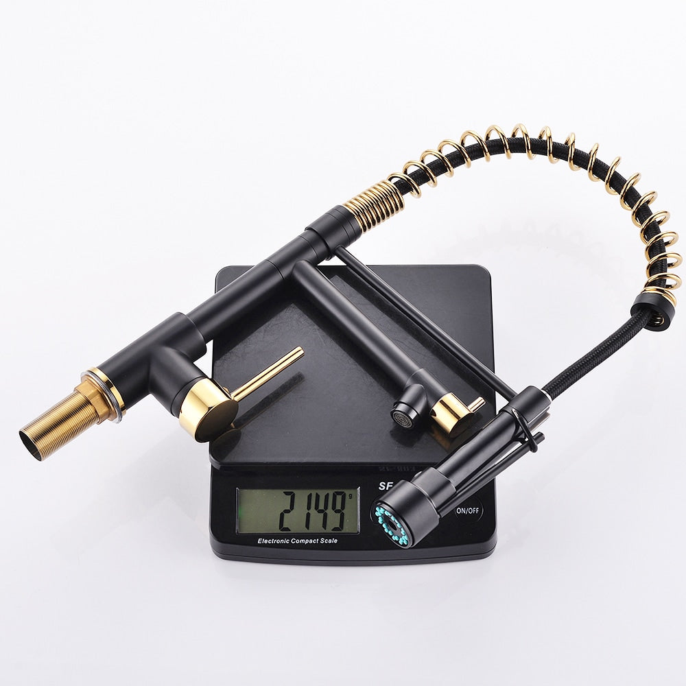 Luxe Double-Handle Pull-Down Sprayer Kitchen Faucet in Black and Gold