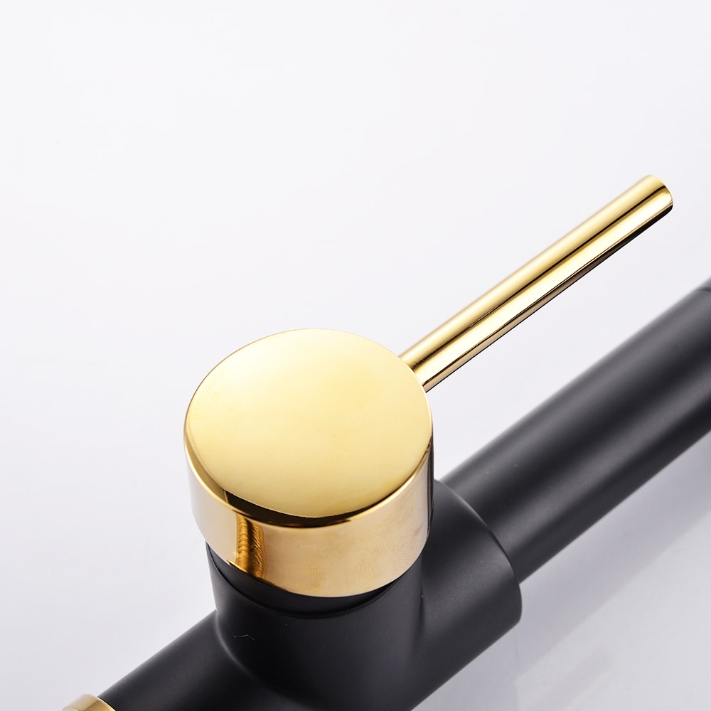 Luxe Double-Handle Pull-Down Sprayer Kitchen Faucet in Black and Gold