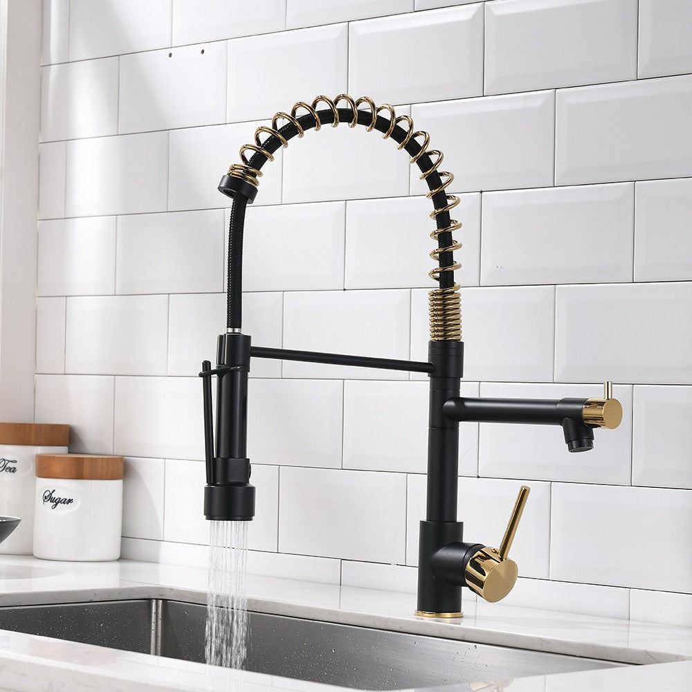 Luxe Double-Handle Pull-Down Sprayer Kitchen Faucet in Black and Gold