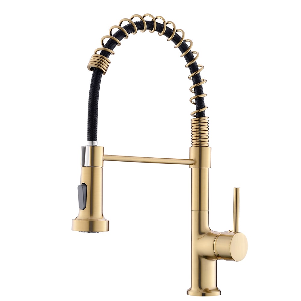 Essence Single Handle Pull Down Sprayer Kitchen Faucet in Gold