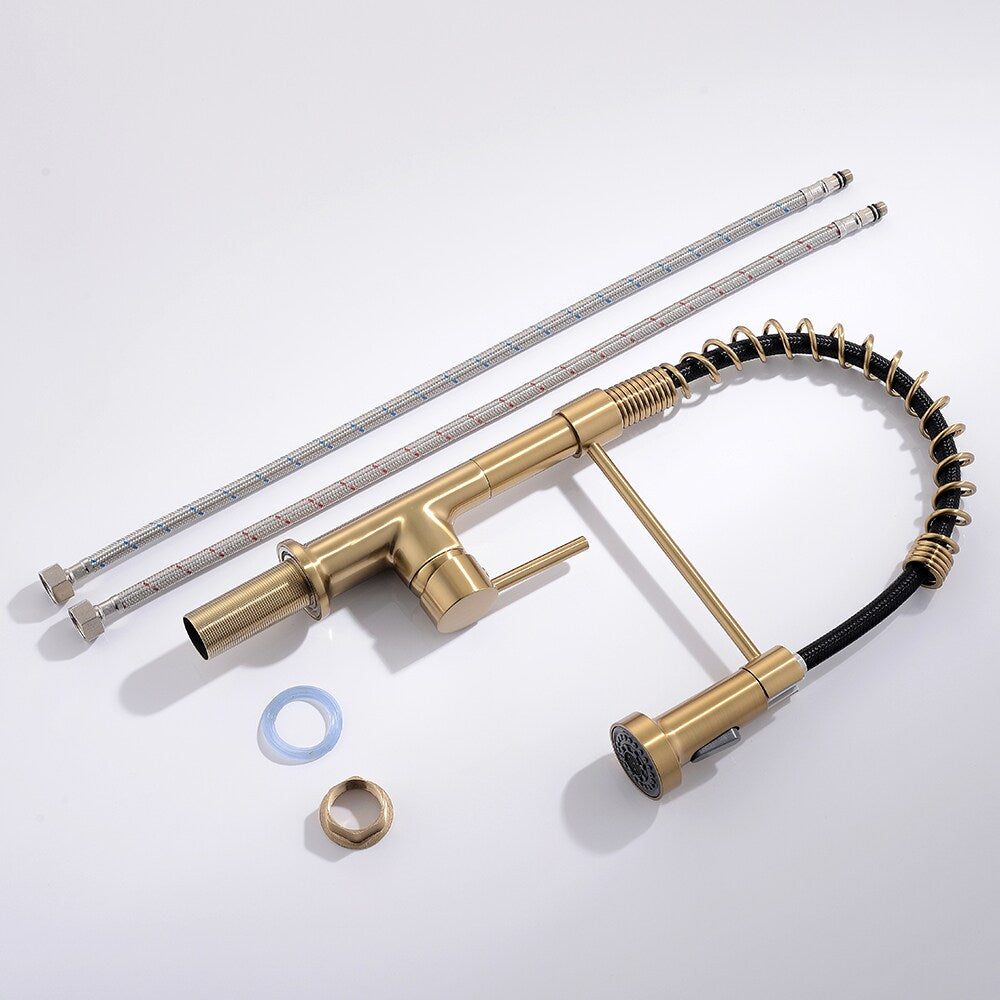 Essence Single Handle Pull Down Sprayer Kitchen Faucet in Gold