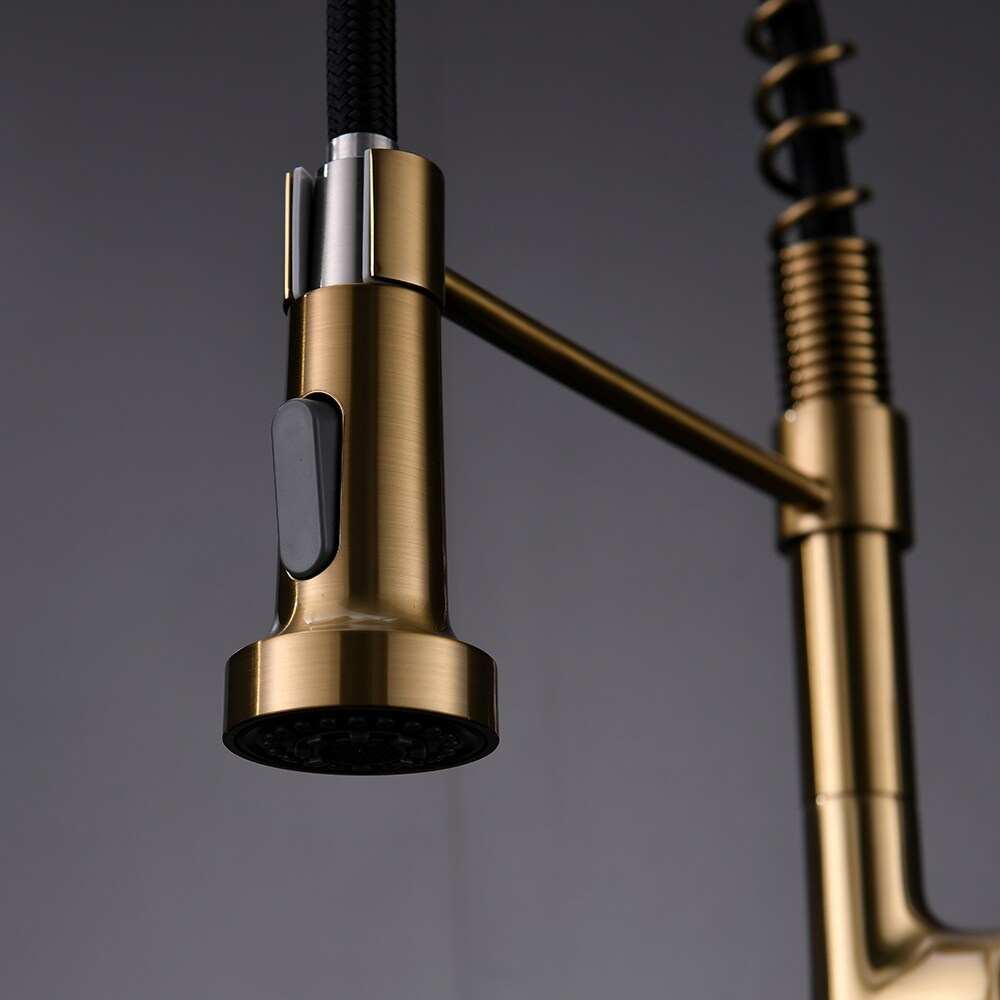 Essence Single Handle Pull Down Sprayer Kitchen Faucet in Gold