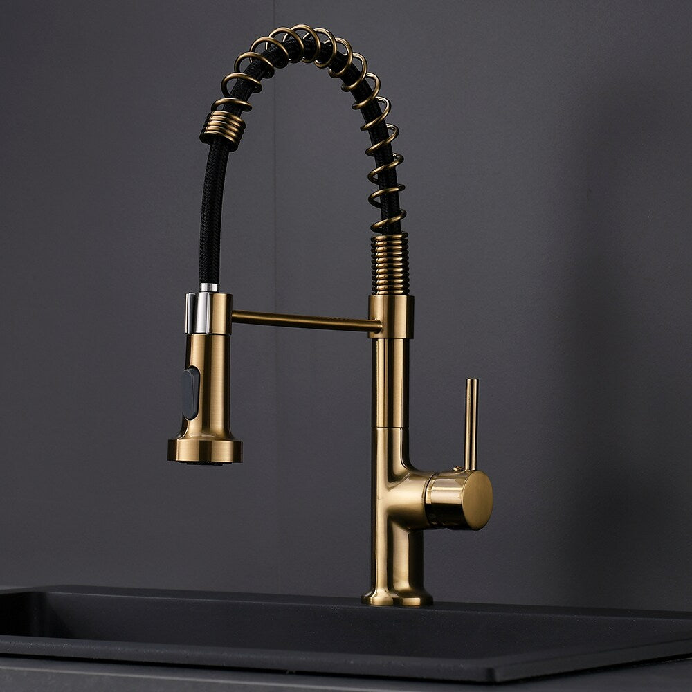 Essence Single Handle Pull Down Sprayer Kitchen Faucet in Gold