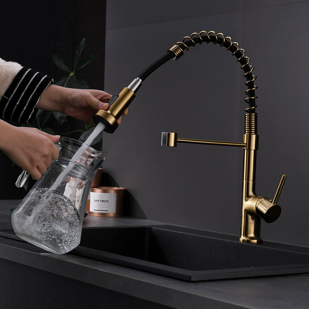 Essence Single Handle Pull Down Sprayer Kitchen Faucet in Gold