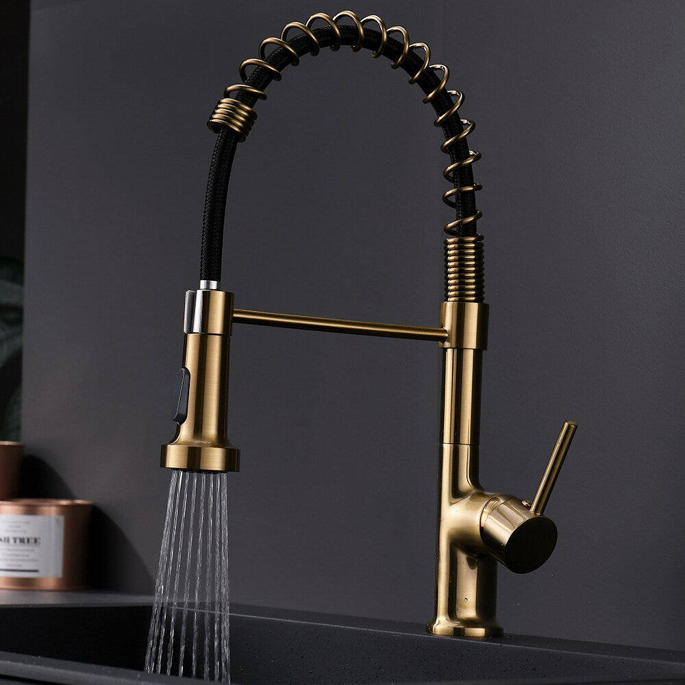 Essence Single Handle Pull Down Sprayer Kitchen Faucet in Gold