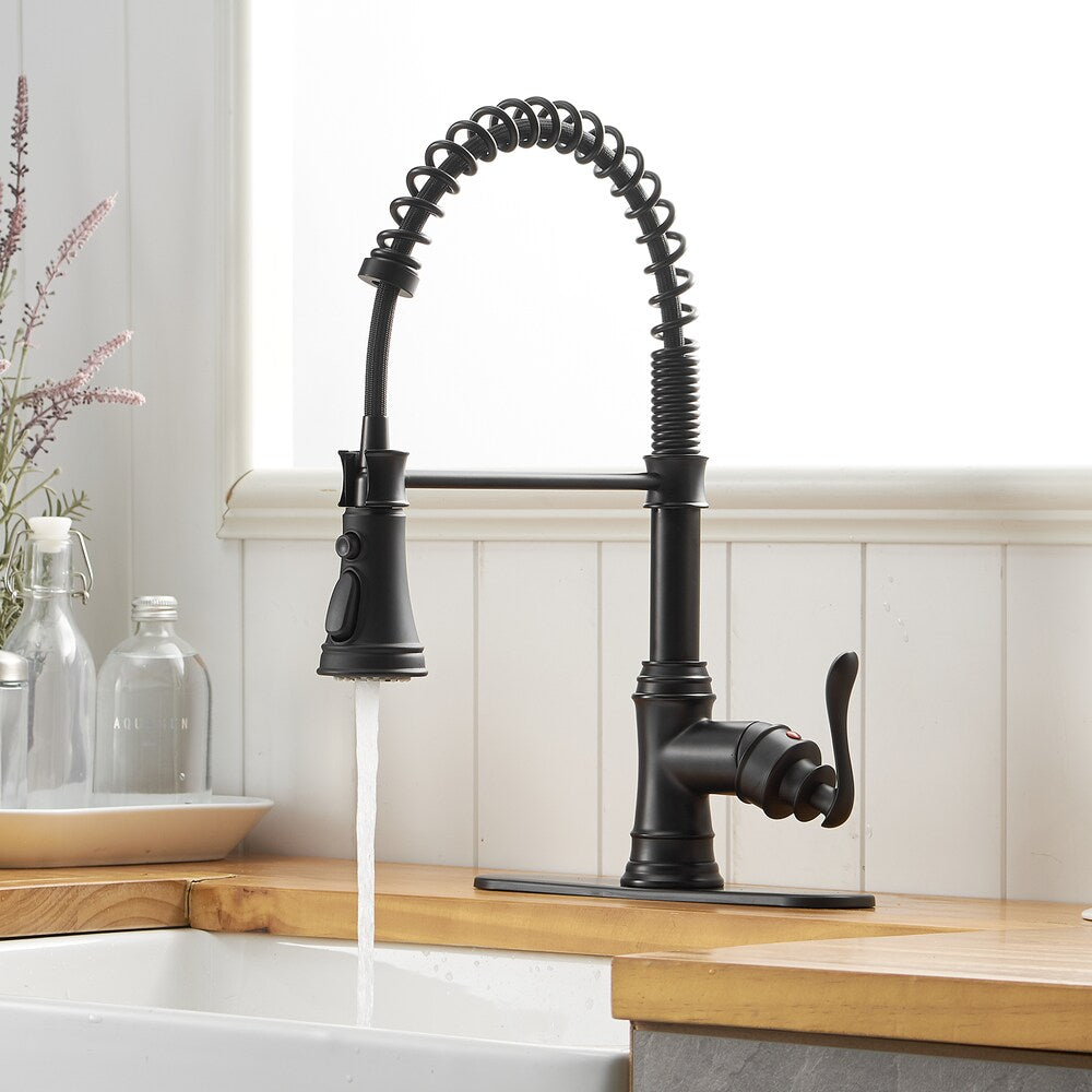 Pioneer Single-Handle Pull-Down Sprayer 3 Spray Kitchen Faucet in Matte Black