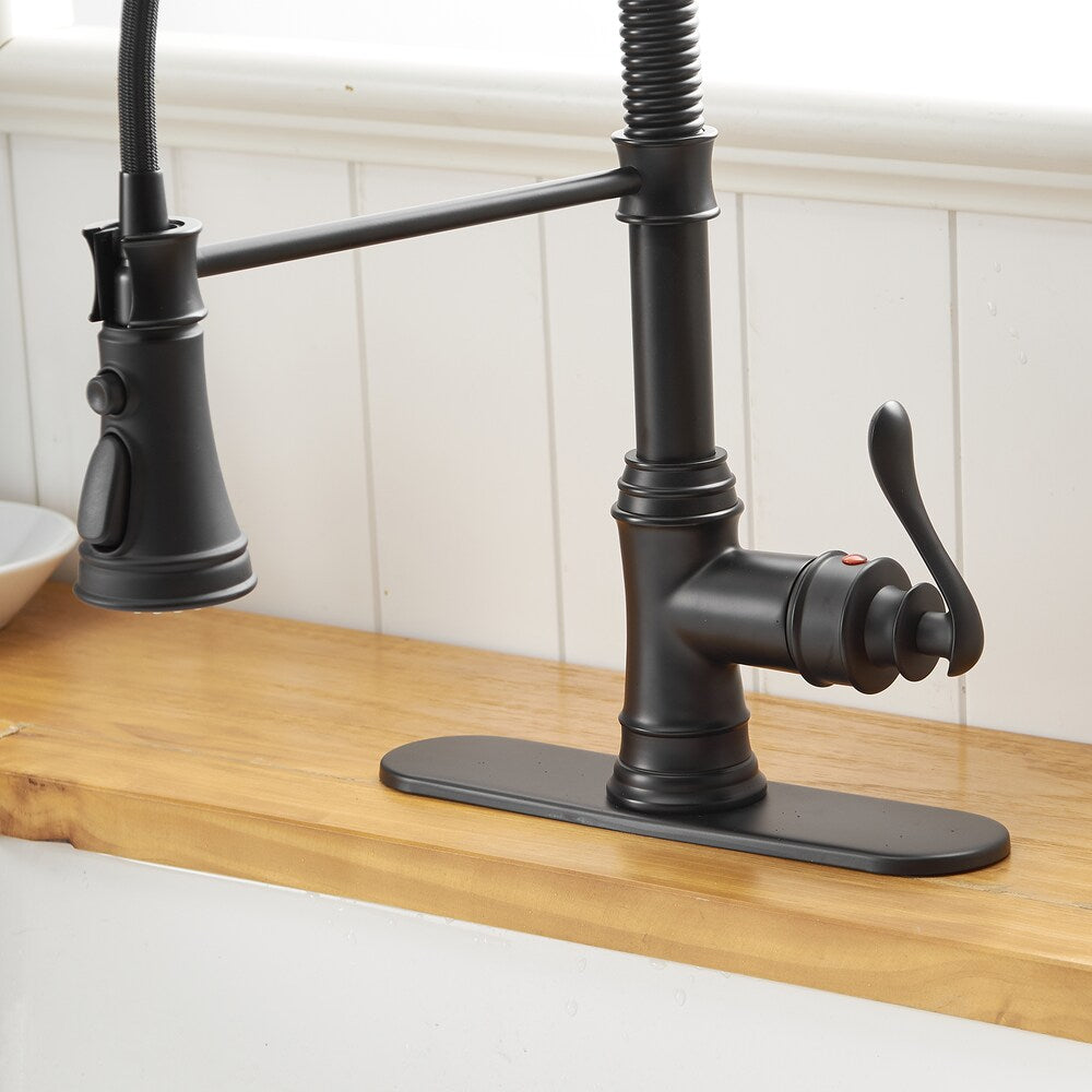 Pioneer Single-Handle Pull-Down Sprayer 3 Spray Kitchen Faucet in Matte Black