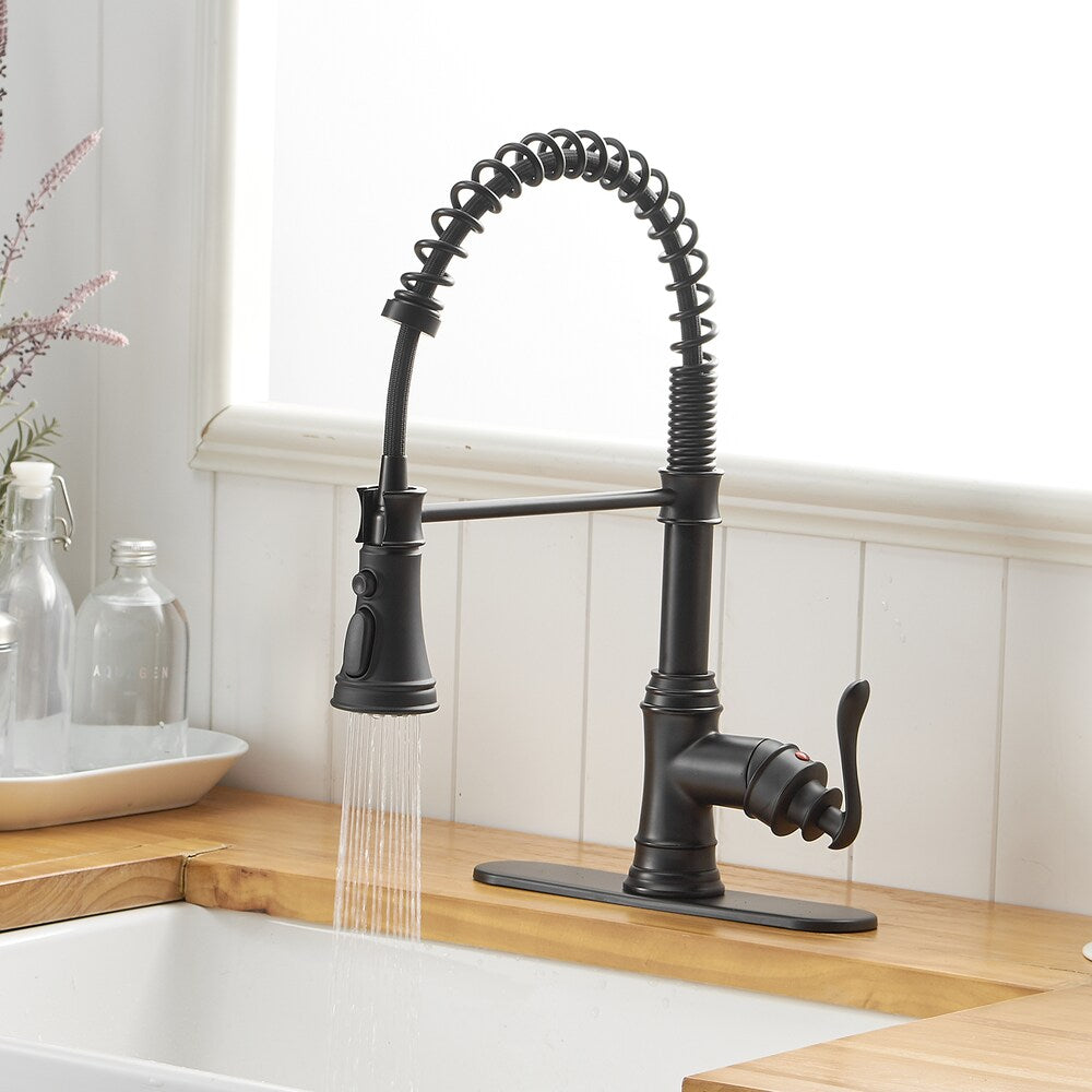 Pioneer Single-Handle Pull-Down Sprayer 3 Spray Kitchen Faucet in Matte Black