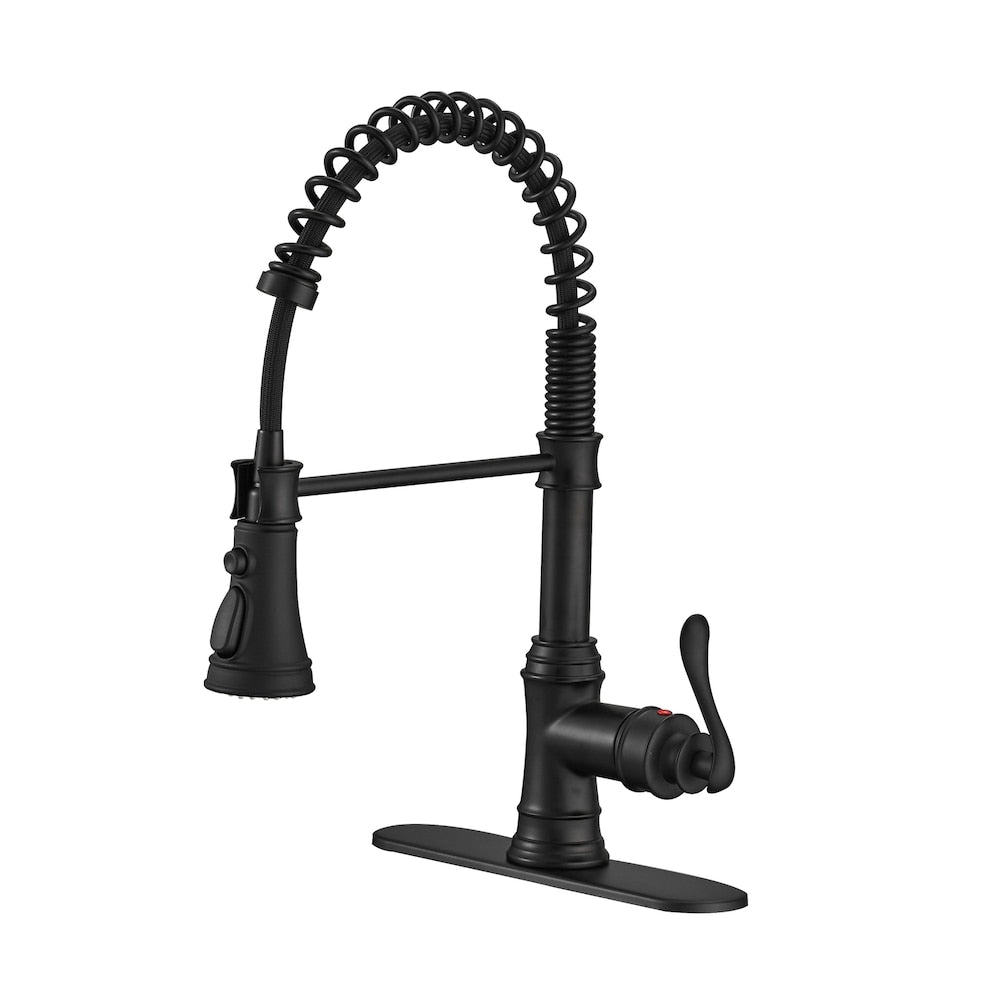Pioneer Single-Handle Pull-Down Sprayer 3 Spray Kitchen Faucet in Matte Black