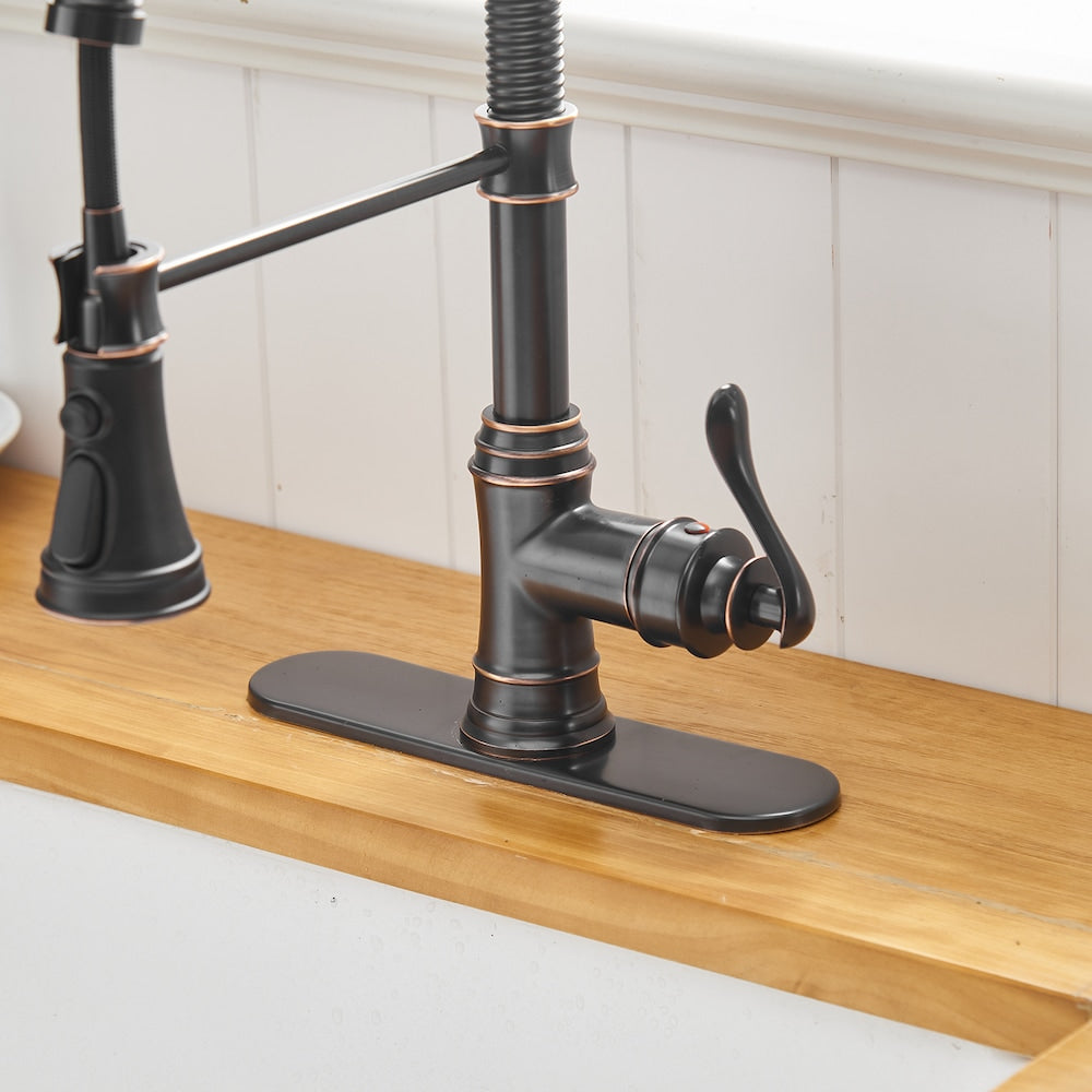 Pioneer Single-Handle Pull-Down Sprayer 3 Spray Kitchen Faucet in Oil Rubbed Bronze