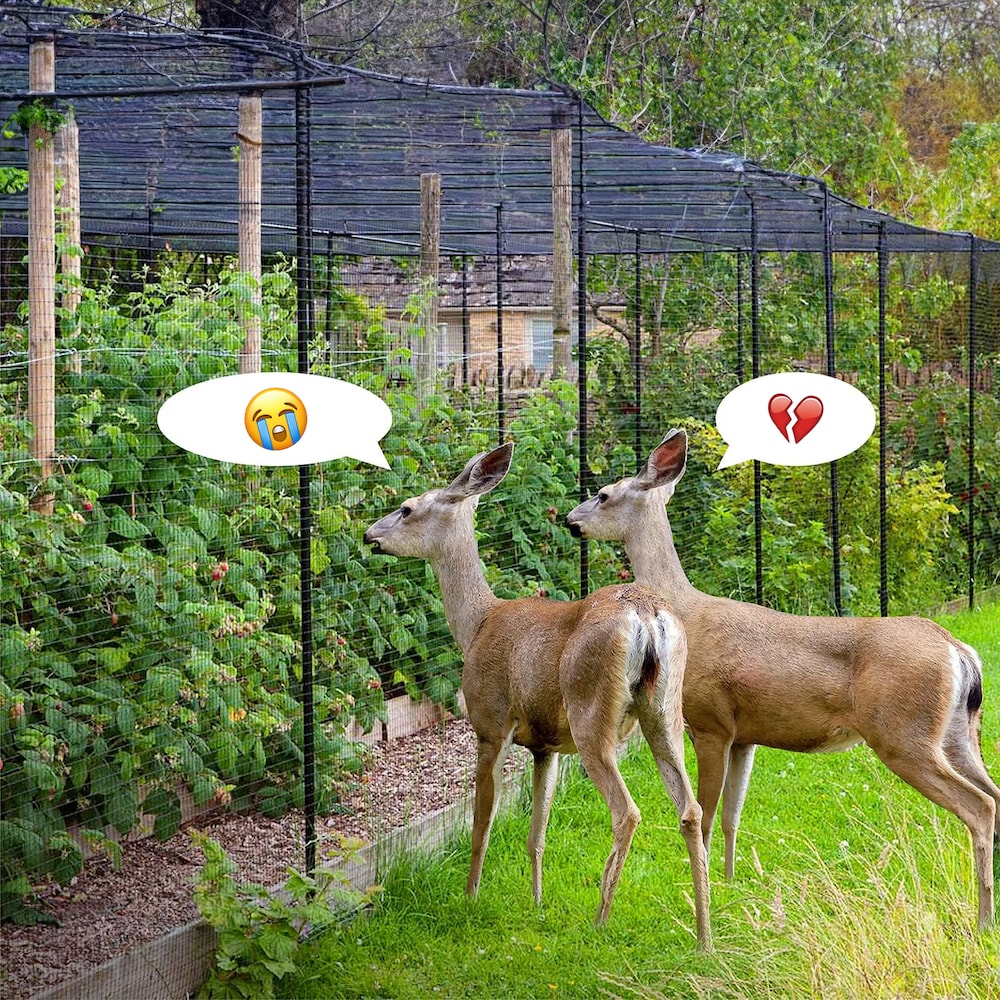 7-feet. x 100-feet. Black Deer Net with 3/4-inch Mesh, weight 4lb