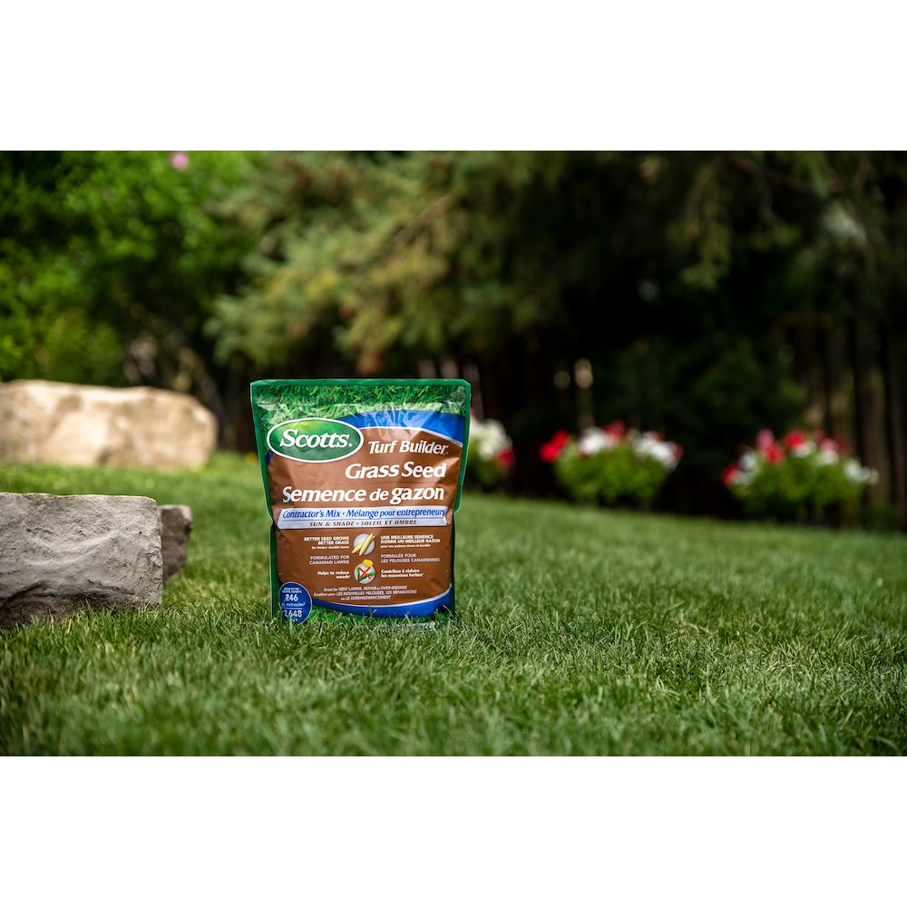Turf Builder Grass Seed Contractor's Mix 1kg