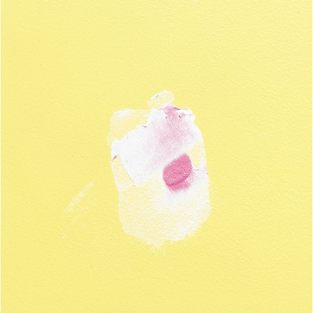 Wall Repair Patch Kit with DRYDex® Spackling White 237 mL