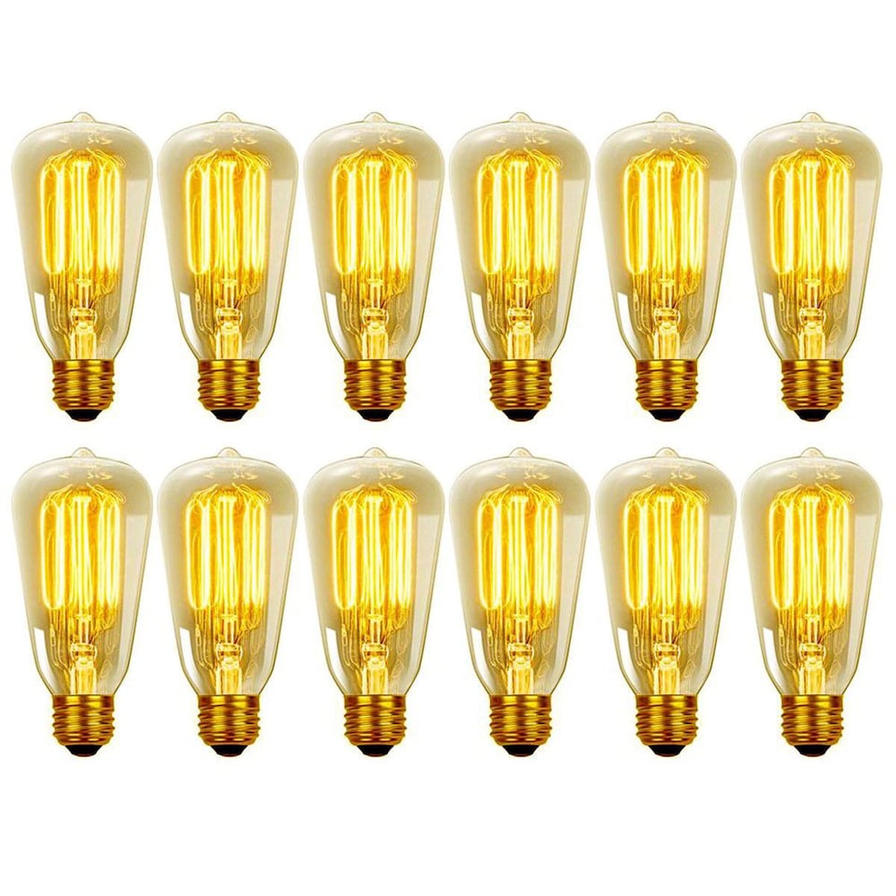 Ampoule à incandescence à filament cage d'écureuil Edison 60 W vintage S60 avec culot E26 (lot de 12)