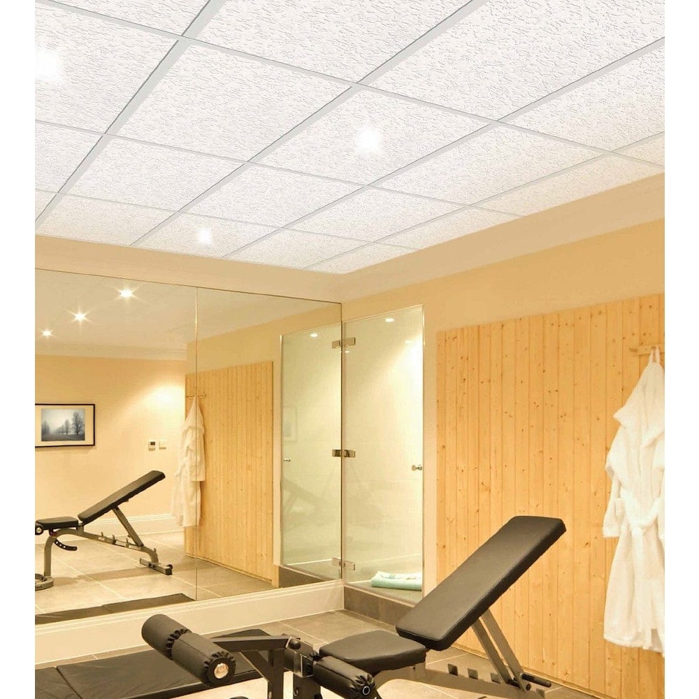 2 ft. x 4 ft. Santa Fe Lay-in Ceiling Tile (Sold by Case - Pack of 12)