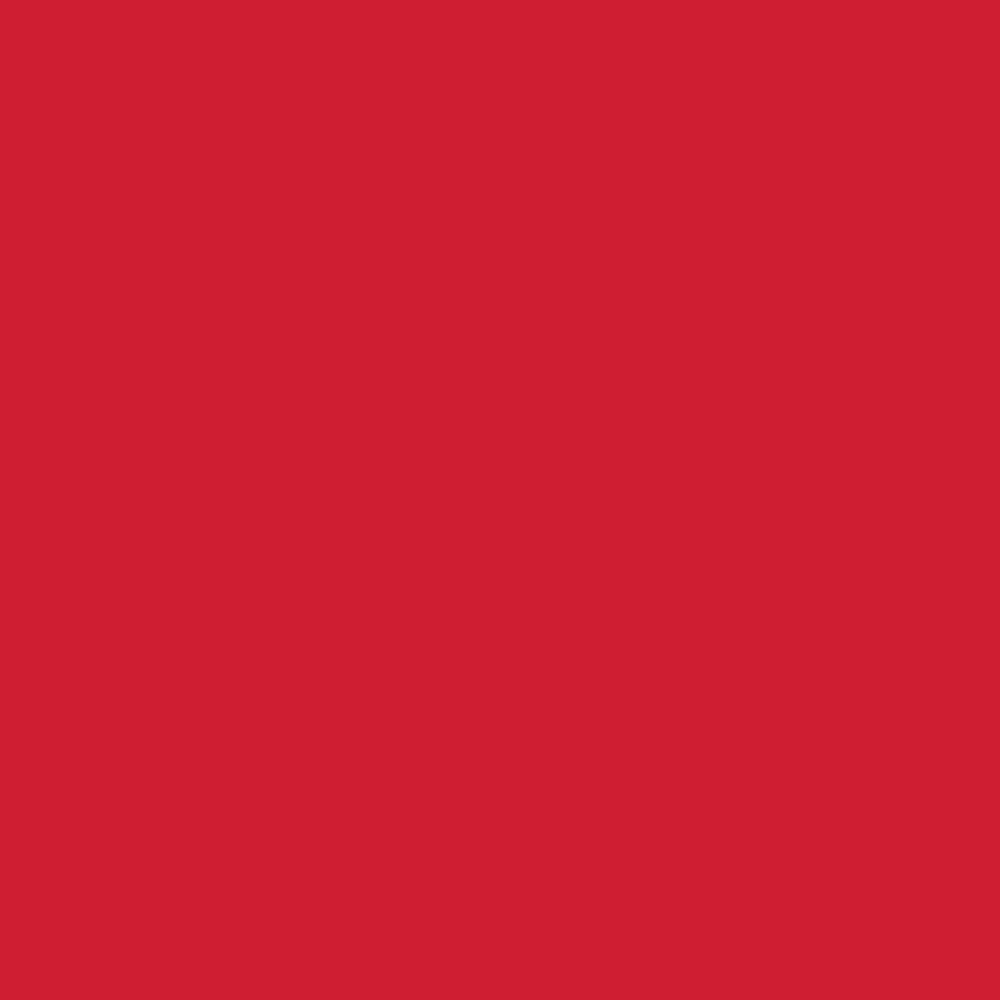 1/2 inch x 10 Ft. PEX Pipe Red