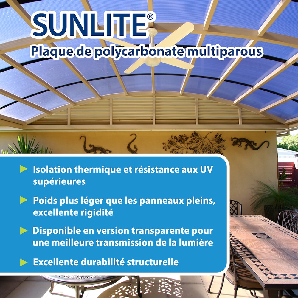 Panneau en polycarbonate multiparois transparent de 96 po x 2 pi