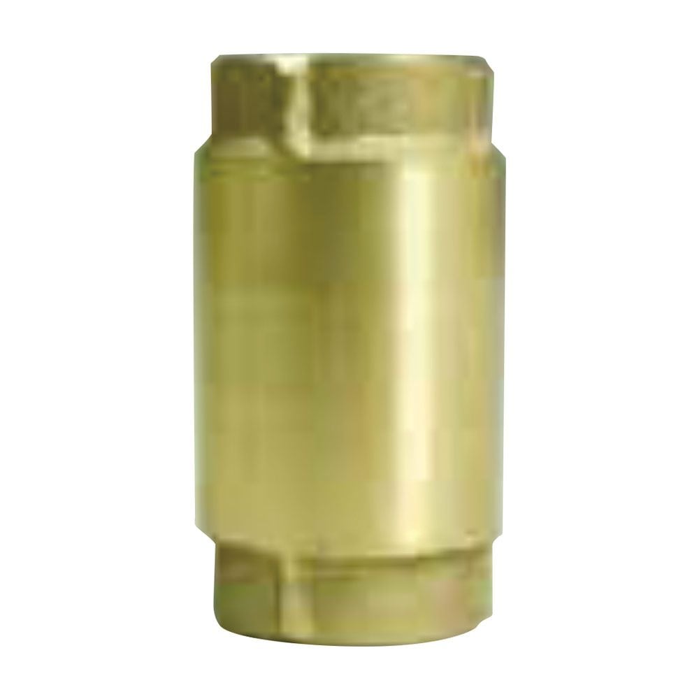 Clapet anti-retour en bronze de 1-1/4 po
