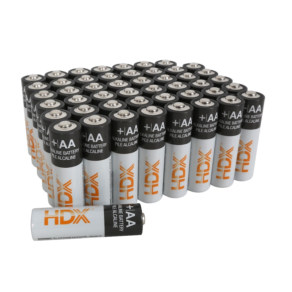 Pile alcaline AA (paquet de 48)
