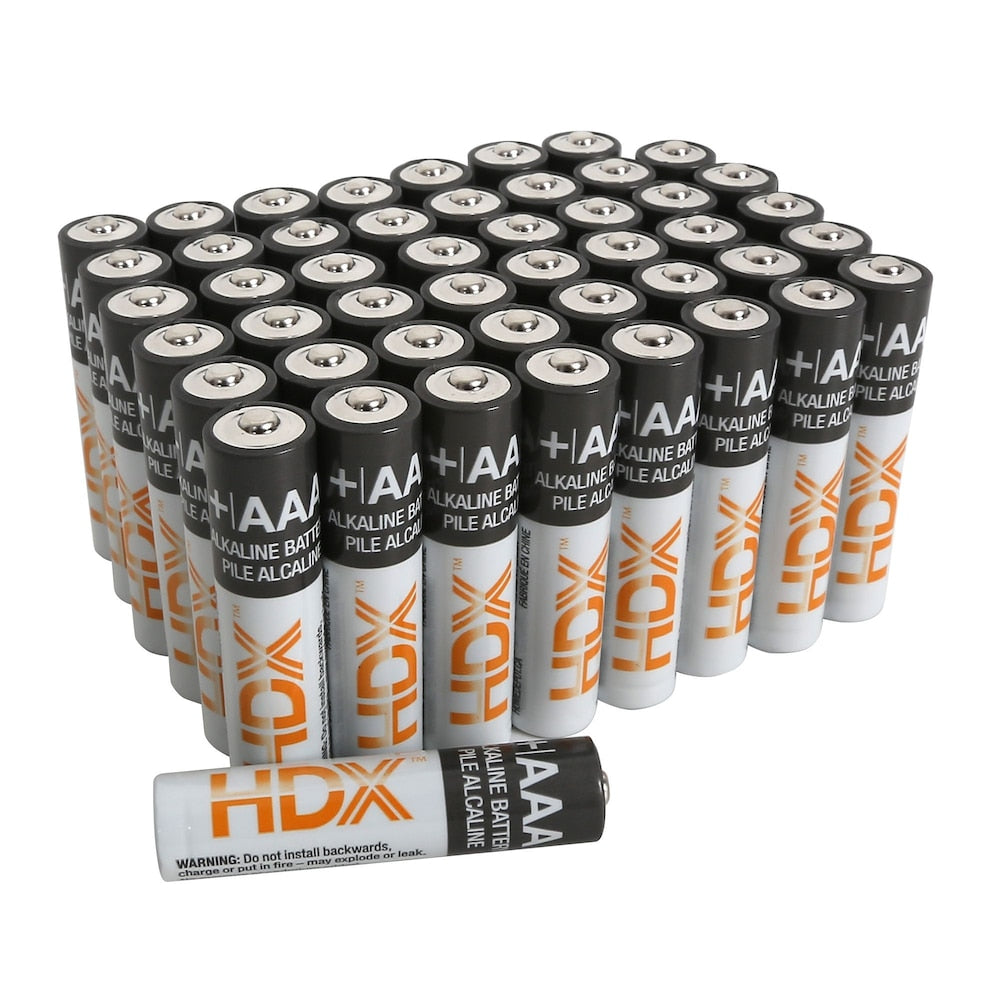 Pile alcaline AAA (paquet de 48)