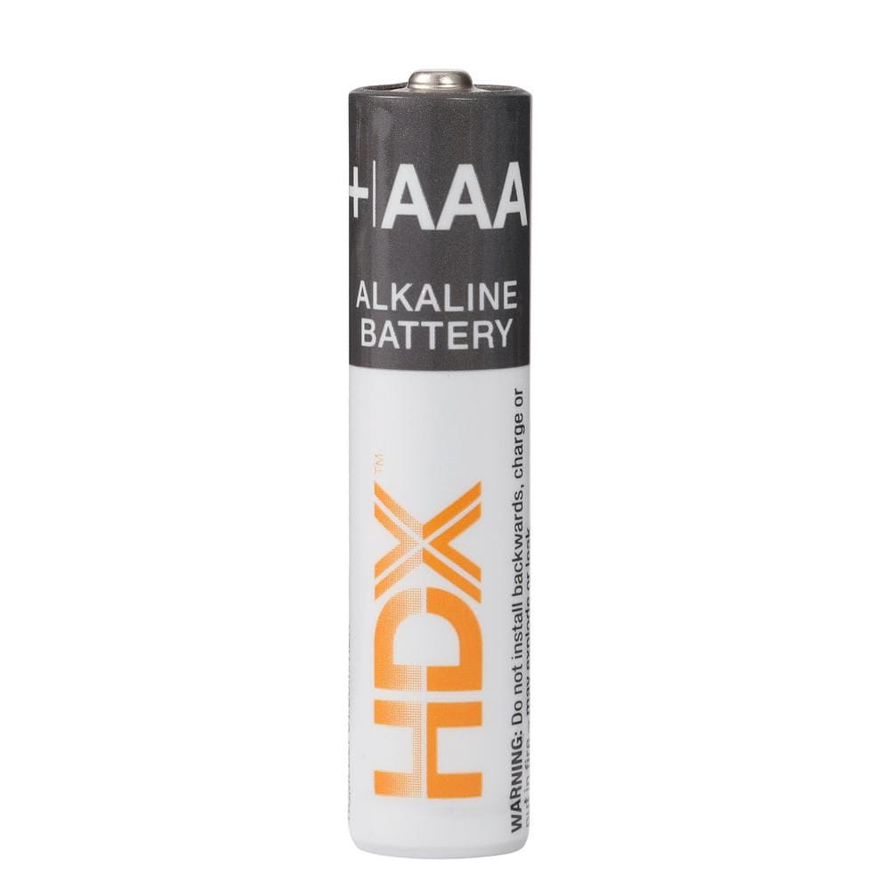 Pile alcaline AAA (paquet de 48)