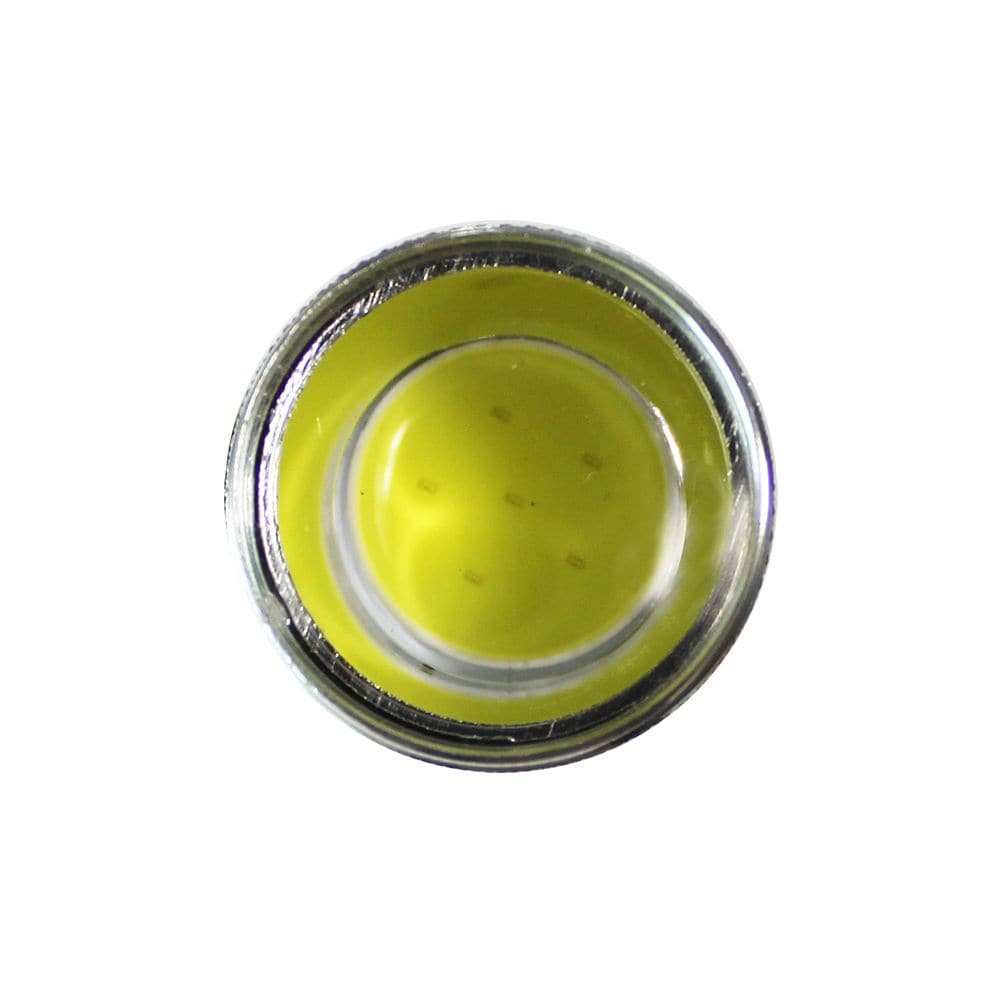 COB Flashlight (6-Pack)