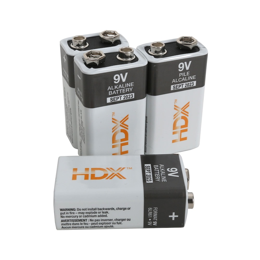 9V Alkaline Battery (4-Pack)