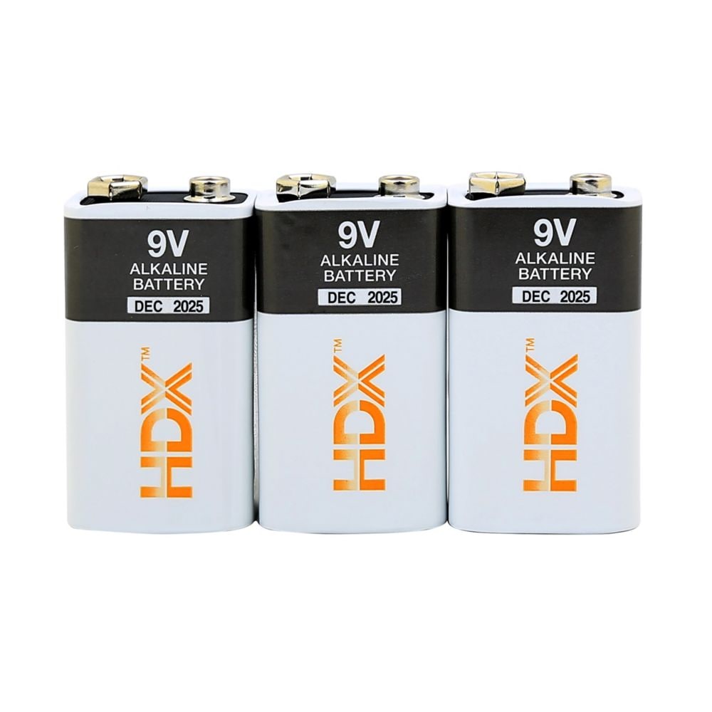 Pile alcaline 9 V (lot de 4)