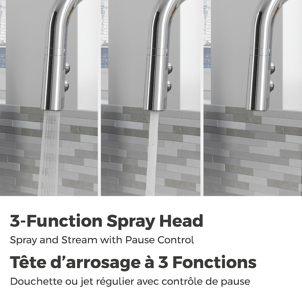 Zanna 1-Handle Polished Chrome Pull Out/Pull Down Kitchen Faucet/Kitchen Sink Faucet/Tap with Soap Dispenser