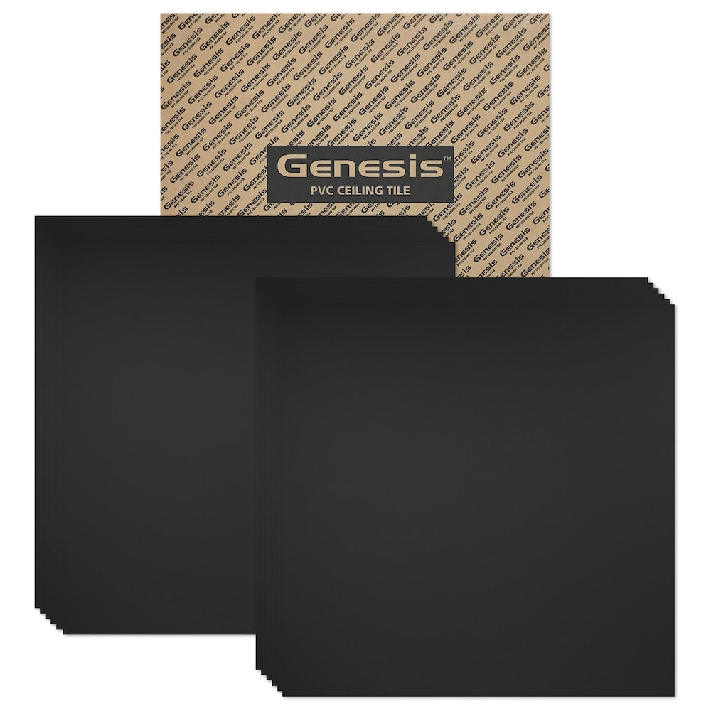 Panneau de plafond noir Smooth Pro de 2 pi x 2 pi, carton de 12