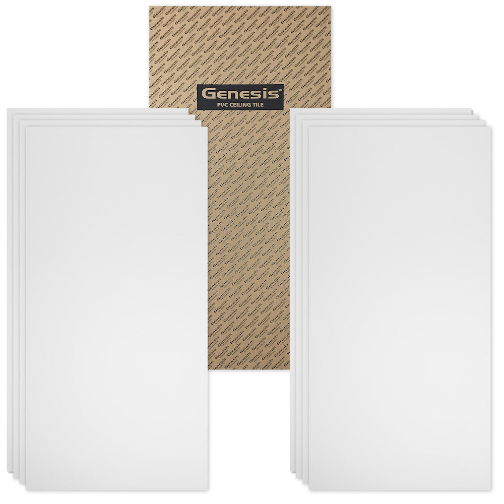 2 ft. x 4 ft. Smooth Pro White Ceiling Panel Carton of 10