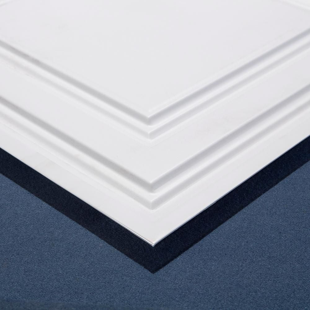 Panneau de plafond blanc Icon Relief de 2 pi x 2 pi, carton de 12