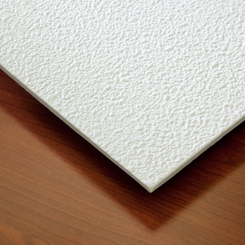 2 ft. x 2 ft. Stucco Pro White Ceiling Panel Carton of 12