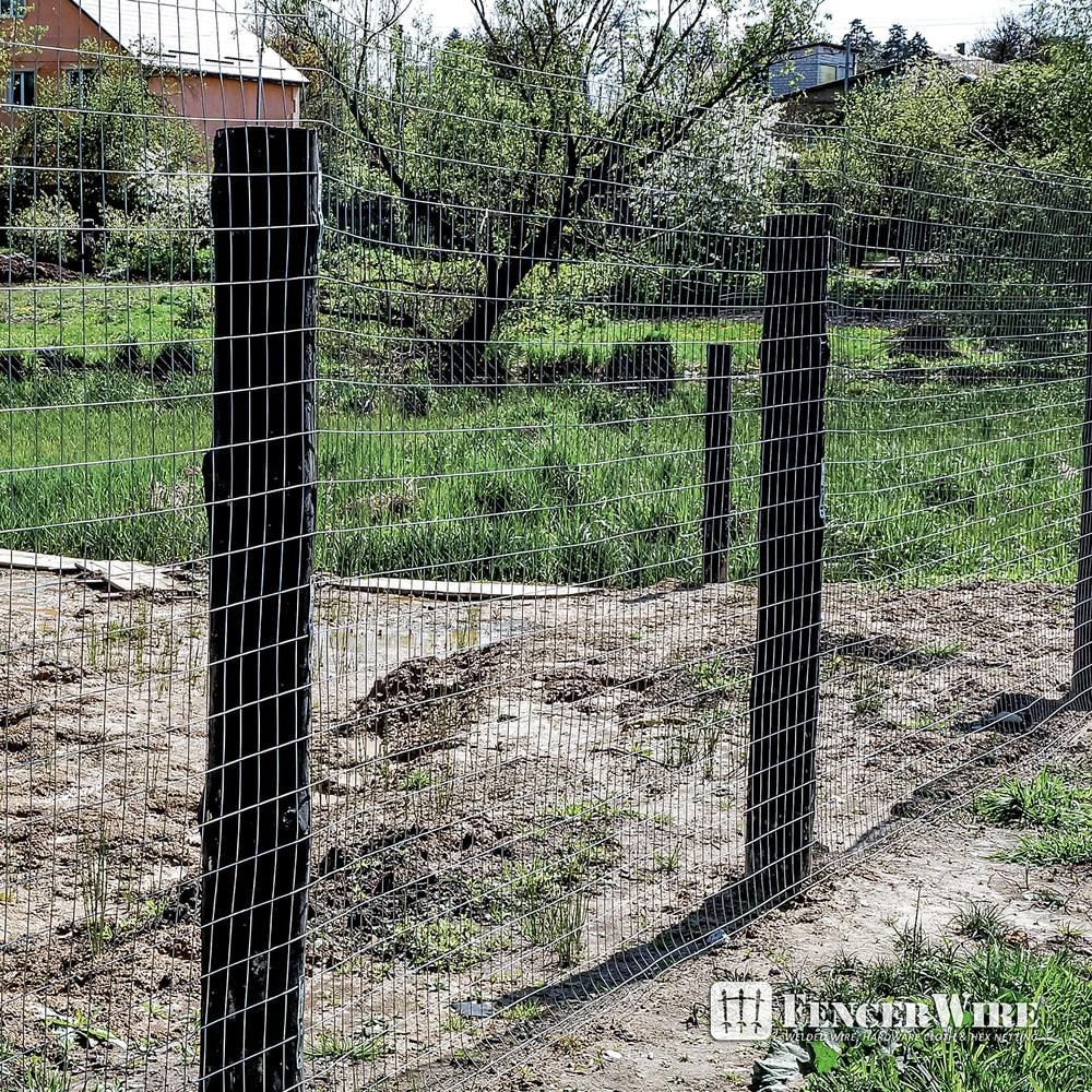 2 inch x 4 inch 6 ft. x 50 ft. 14-Gauge Galvanized Welded Fence